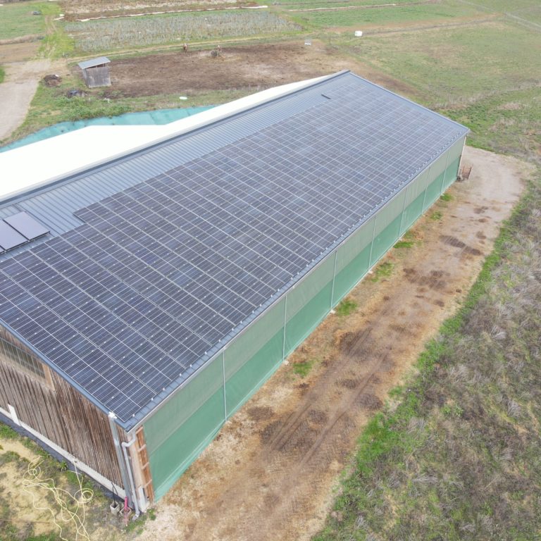installation photovoltaïque sur bâtiment agricole